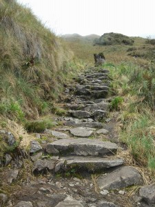 Those Inca stairs